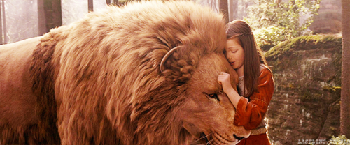 animals-aslan-books-chronicles-of-narnia-Favim.com-1089902.png