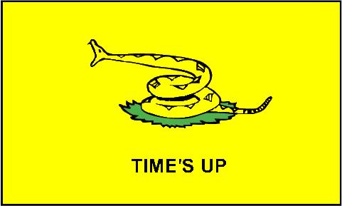 times+up+flag.jpg